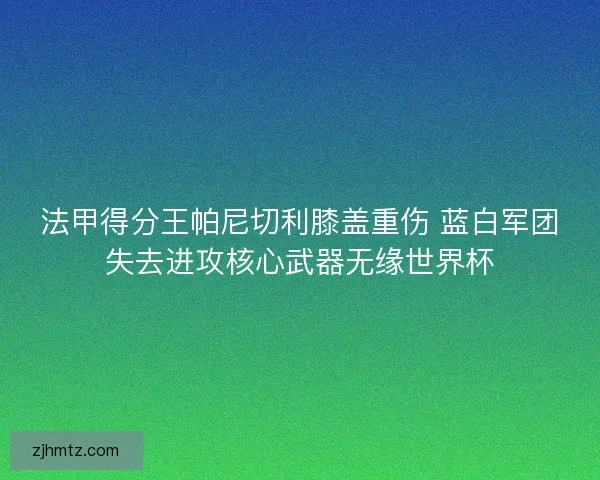 法甲得分王帕尼切利膝盖重伤 蓝白军团失去进攻核心武器无缘世界杯